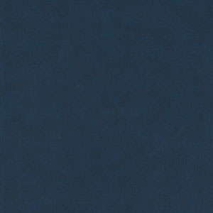 Rilegatura tesi di laurea in similpelle. Colore Blu nuovo.