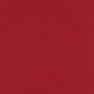 Rilegatura tesi di laurea in similpelle. Colore Rosso.